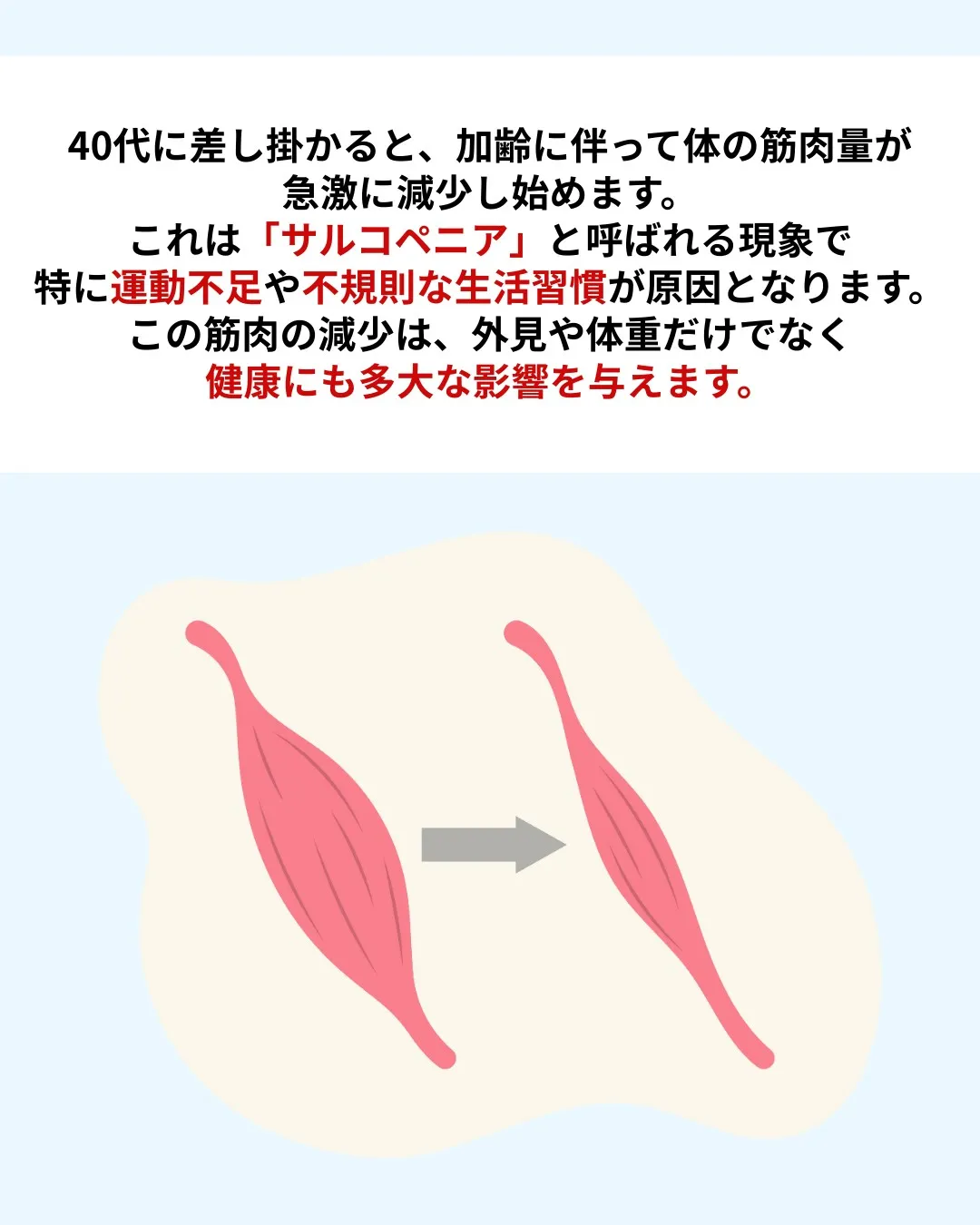 💪40代から急激に落ちる?!筋肉減少の恐怖💪